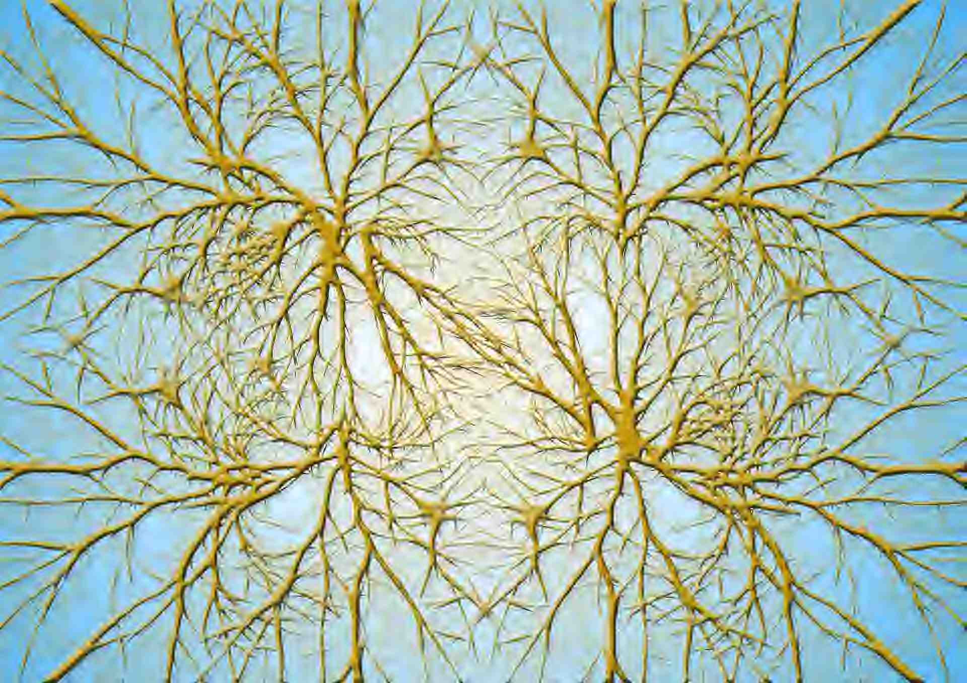 knotted neuron