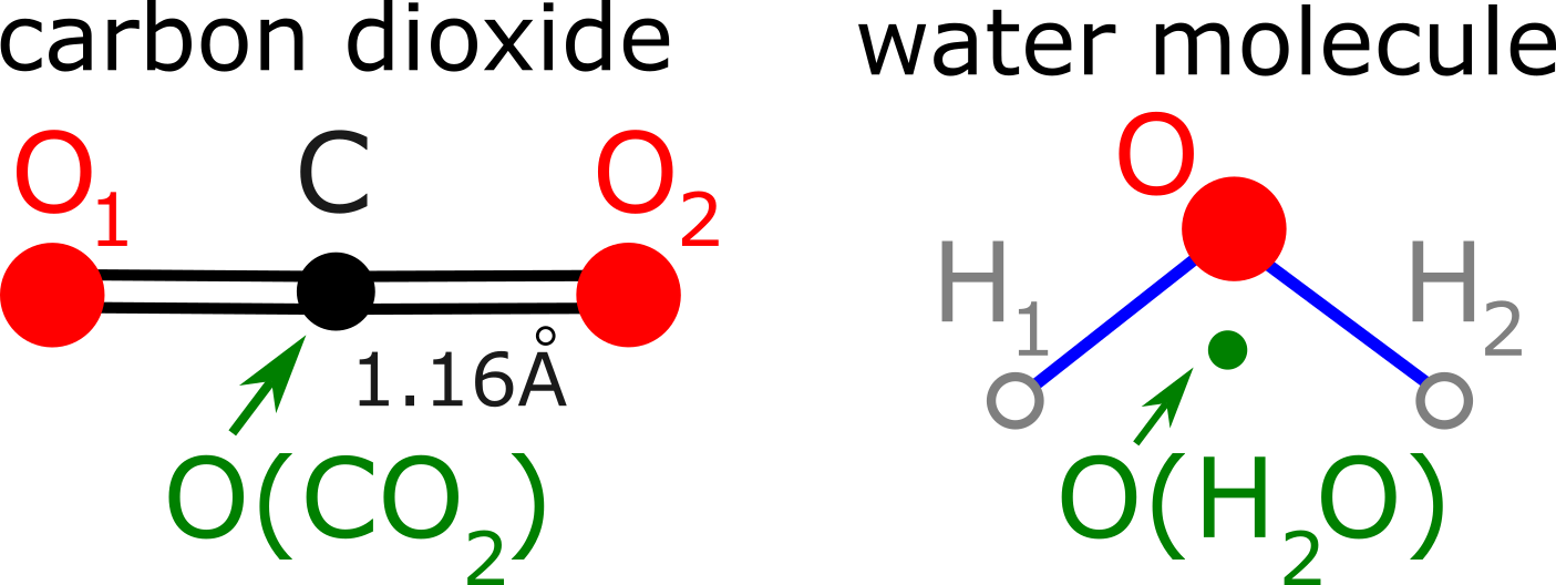 CO2 and H2O molecules